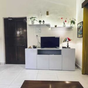 Entertainment Panel